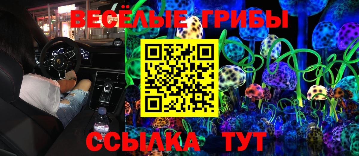 Псилоцибиновые грибы Cubensis  Вход с VPN  закладка  Алексеевка  Псилоцибиновые грибы Cubensis 